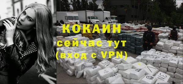 Альфа ПВП Аркадак
