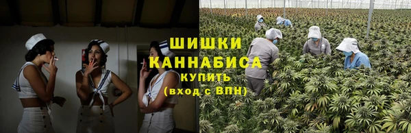 мяу мяу мука Арсеньев
