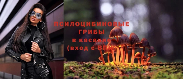 мяу мяу мука Арсеньев