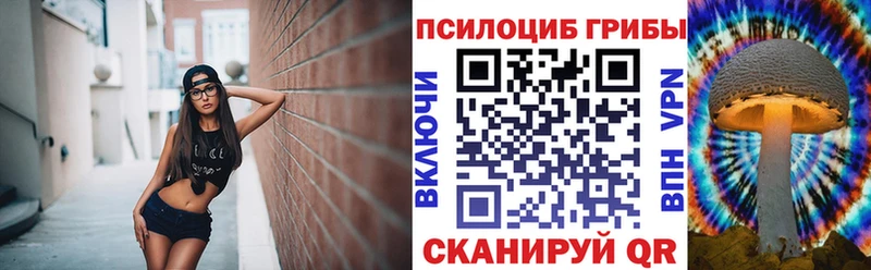Галлюциногенные грибы Psilocybine cubensis купить hydra вход Лянтор